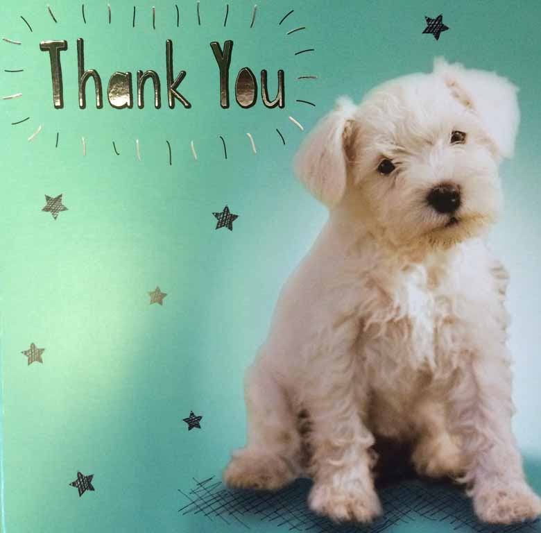 thank-you-card-from-the-sellers-of-narrowboat-tiddler